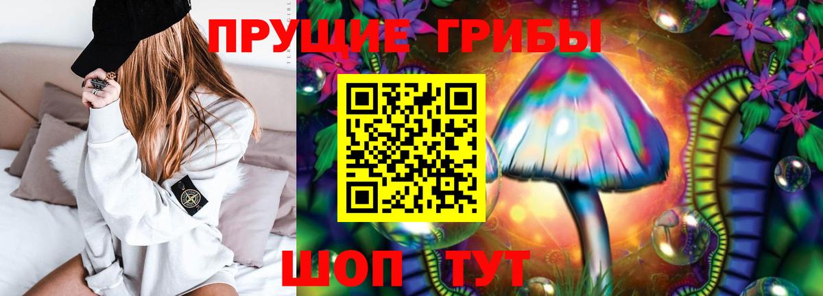 Галлюциногенные грибы Psilocybine cubensis Сердобск